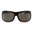 Brown Women Sunglass