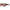 Brown Men Sunglass