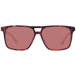 Brown Men Sunglass