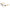 Black Women Optical Frames