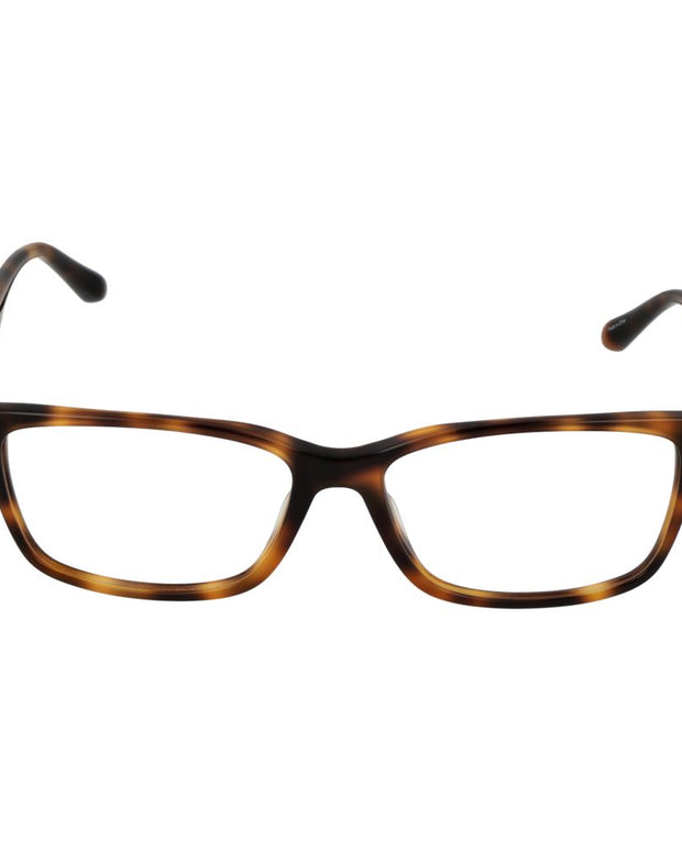 Brown Plastic Glasses (Frames)