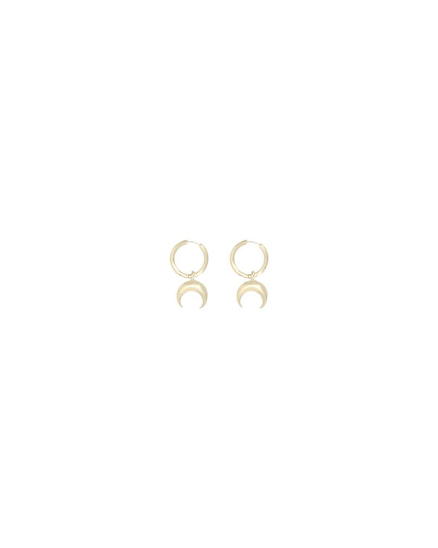 Pendant Earrings