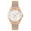 Gold Stainless Steel Watch