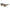 Gray Men Sunglasses