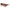 Brown Women Sunglass