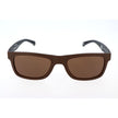 Brown Acetate Sunglasses