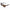 Brown Acetate Sunglasses