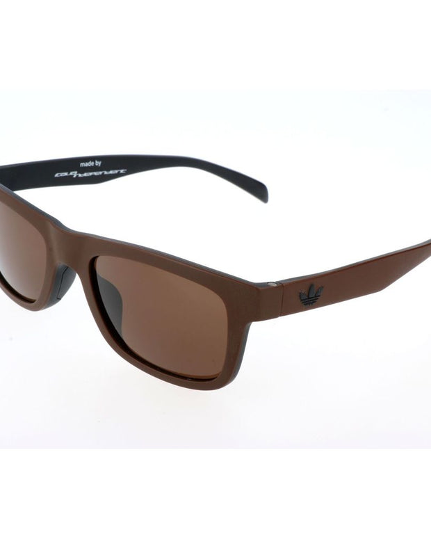 Brown Acetate Sunglasses