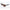 Brown Acetate Sunglasses