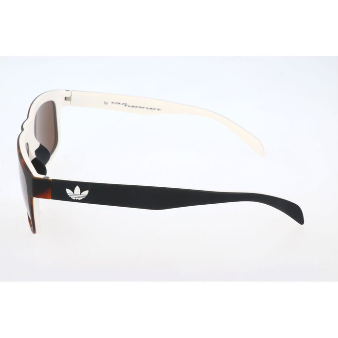 Brown Acetate Sunglasses