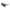 Black Acetate Sunglasses