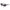 Black Women Sunglasses