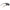 Brown Men Sunglasses