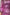 Metallic Fuchsia Floral Sheath Mini Dress