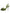 Green Python Leather Heels Sandals Shoes