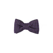 Multicolor Silk Bowty