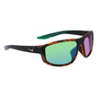 Brown Injected Sunglasses