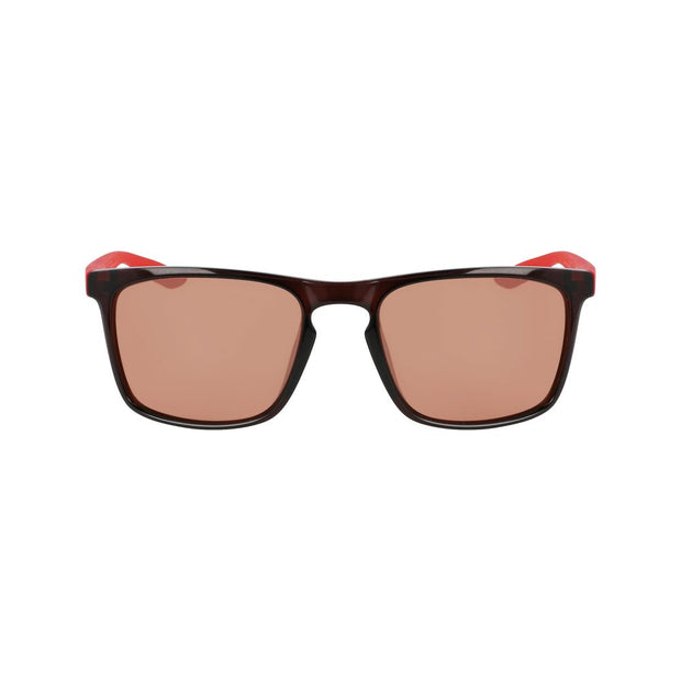 Brown Injected Sunglasses