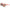 Brown Injected Sunglasses