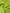 Green Silk Rectangle Wrap Shawl Neck Warmer Scarf