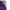 Purple Silk Rectangle Wrap Shawl Scarf