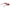 Multicolor Women Sunglass