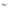 Black Acetate Women Sunglasses