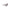 Black Acetate Women Sunglasses