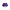 Purple Polyester Men Swim Short