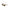 Brown Acetate Women Sunglasses