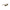 Brown Acetate Women Sunglasses