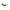 Green Acetate Women Sunglasses