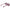Black Women Sunglasses