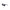 Black Bio Injected Women Sunglasses
