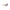 Brown Acetate Women Sunglasses