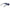 Blue Men Sunglasses