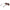 Brown Men Sunglasses