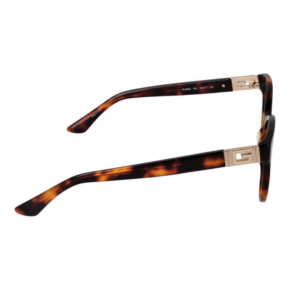 Brown Plastic Glasses (Frames)