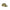 Green Cotton Men Cap
