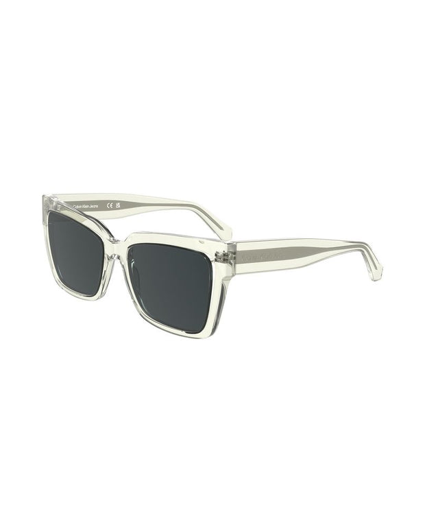 Transparent Plastic Sunglasses
