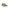 Beige Polyester Men Sneaker