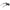 Black Men Sunglass