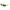 Yellow Men Sunglasses