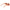 Orange Women Sunglasses