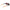 Gray Men Sunglasses