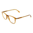 Brown Acetate Glasses (Frames)