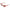 Burgundy Women Sunglass