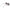 Black Women Sunglasses