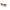 Brown Women Sunglass