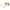 Beige Women Sunglass